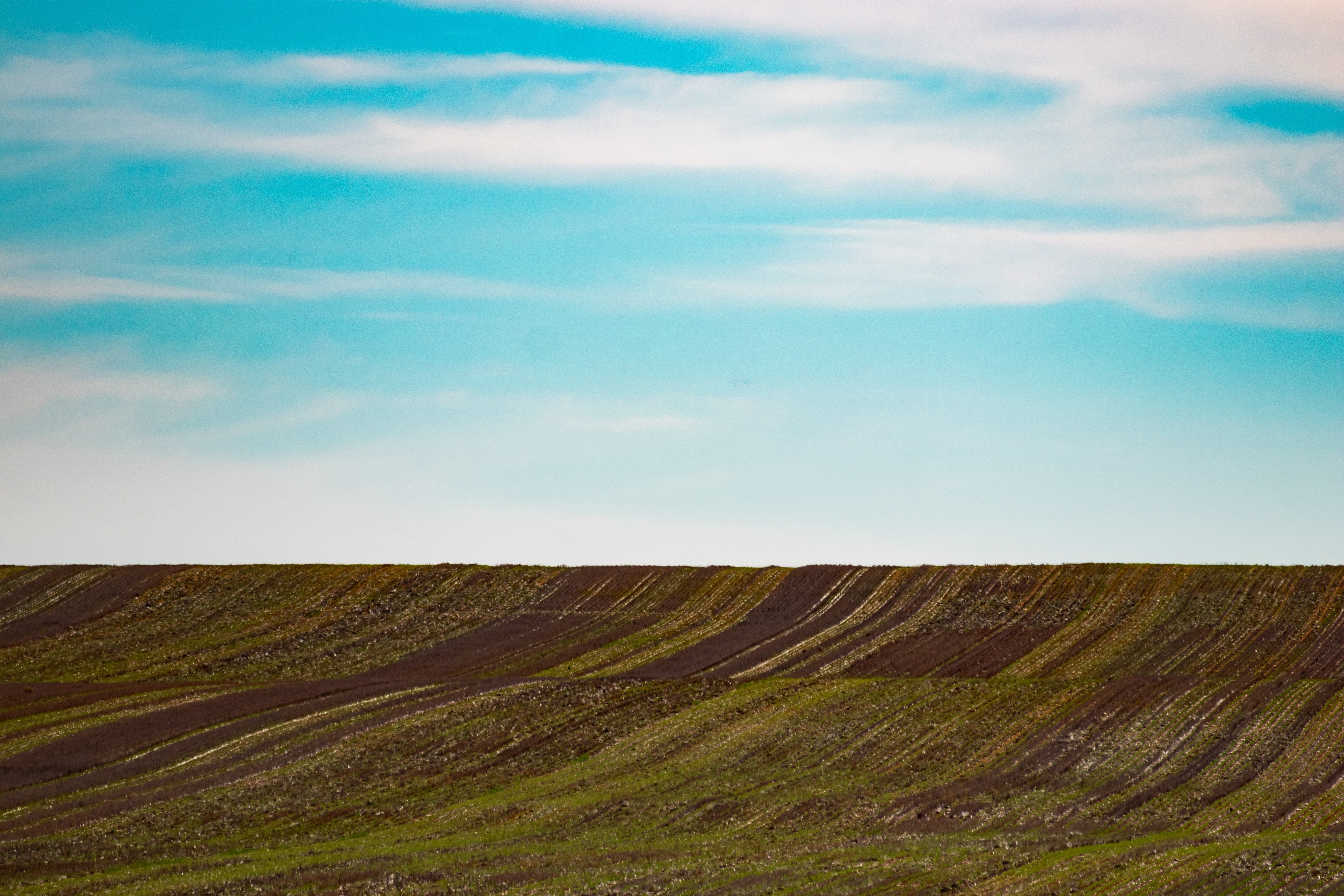 Land